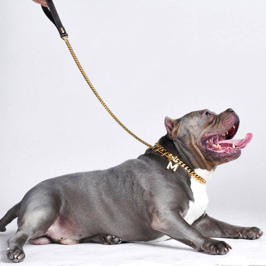 Cuban Link Gold Dog Leash: 35in/90cm length x 14mm width
