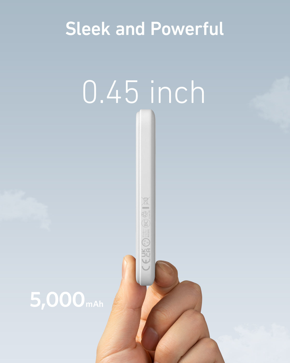 Power Bank (MagGo)